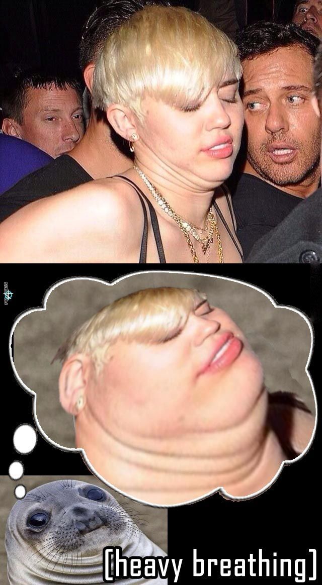 funny picdump 50 pics 5.html - 50 HD Photos | Premium Gallery 2014