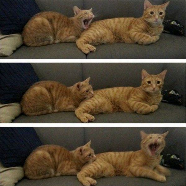 top 500 morning pics of the year 2014.html - 1 HD Photos | Premium Gallery 2014