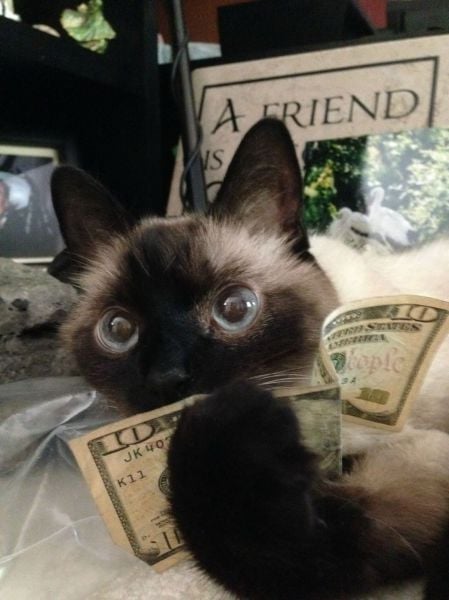 morning picdump 55 pics 15.html - 55 HD Photos | Premium Gallery 2014