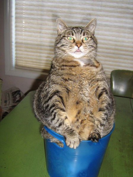 morning picdump 55 pics 15.html - 55 HD Photos | Premium Gallery 2014