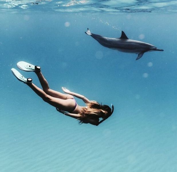 daily picdump 98 pics 9.html - 98 HD Photos | Premium Gallery 2014