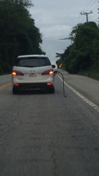 daily picdump 98 pics 9.html - 98 HD Photos | Premium Gallery 2014