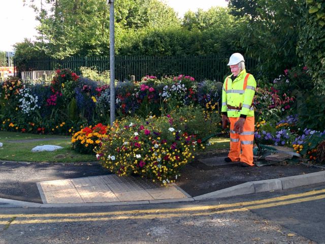 daily picdump 98 pics 9.html - 98 HD Photos | Premium Gallery 2014