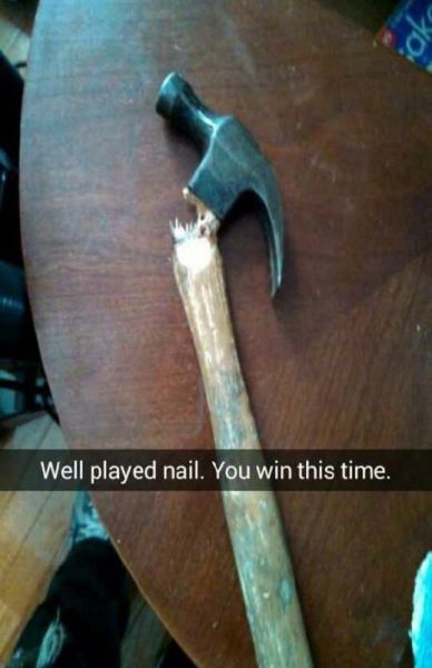 daily picdump 98 pics 9.html - 98 HD Photos | Premium Gallery 2014