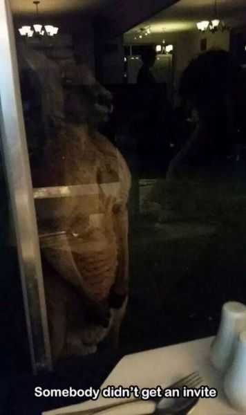 daily picdump 98 pics 9.html - 98 HD Photos | Premium Gallery 2014