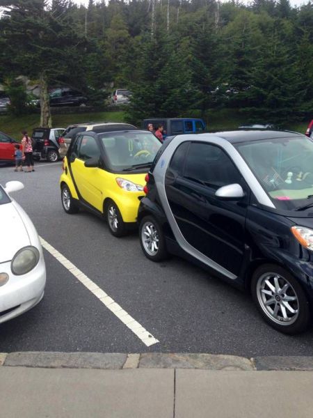 daily picdump 98 pics 9.html - 98 HD Photos | Premium Gallery 2014