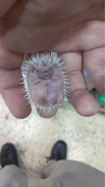 daily picdump 98 pics 9.html - 98 HD Photos | Premium Gallery 2014