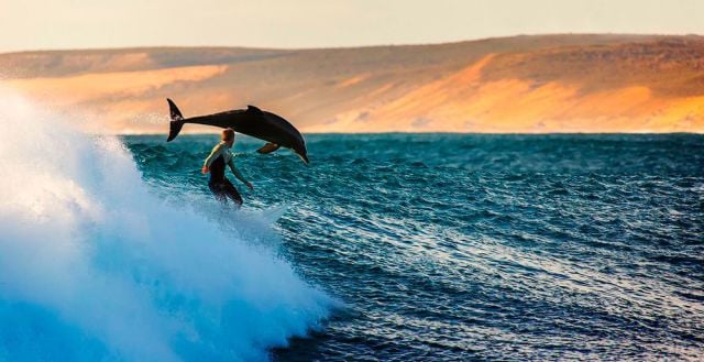 morning picdump 60 pics 17.html - 60 HD Photos | Premium Gallery 2014