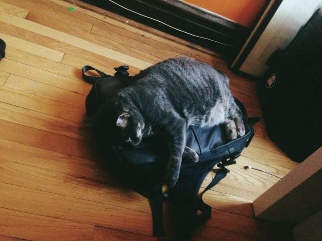 morning picdump 60 pics 17.html - 60 HD Photos | Premium Gallery 2014