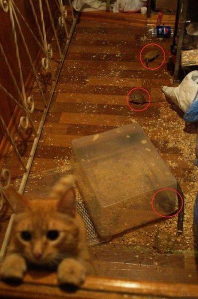 morning picdump 60 pics 17.html - 60 HD Photos | Premium Gallery 2014