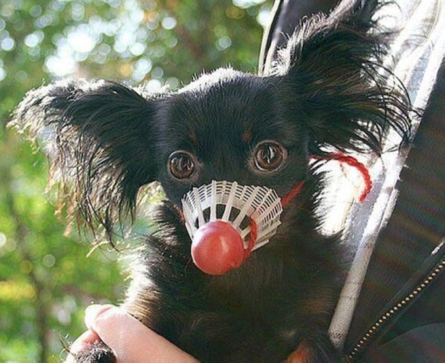 morning picdump 60 pics 17.html - 60 HD Photos | Premium Gallery 2014