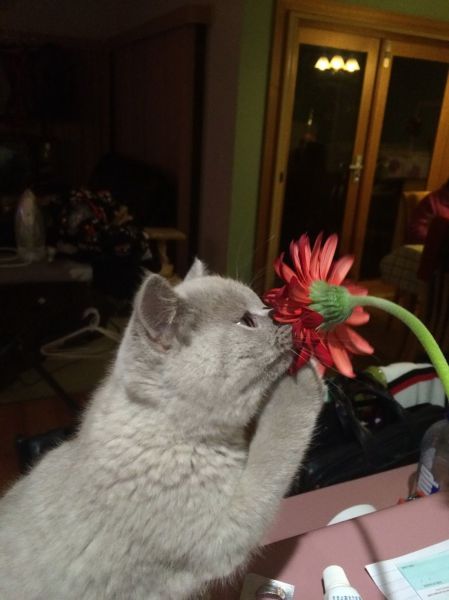 morning picdump 60 pics 17.html - 60 HD Photos | Premium Gallery 2014