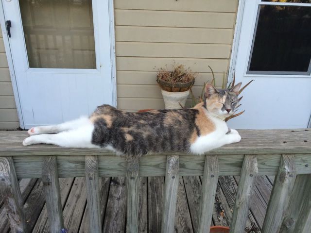 morning picdump 60 pics 17.html - 60 HD Photos | Premium Gallery 2014