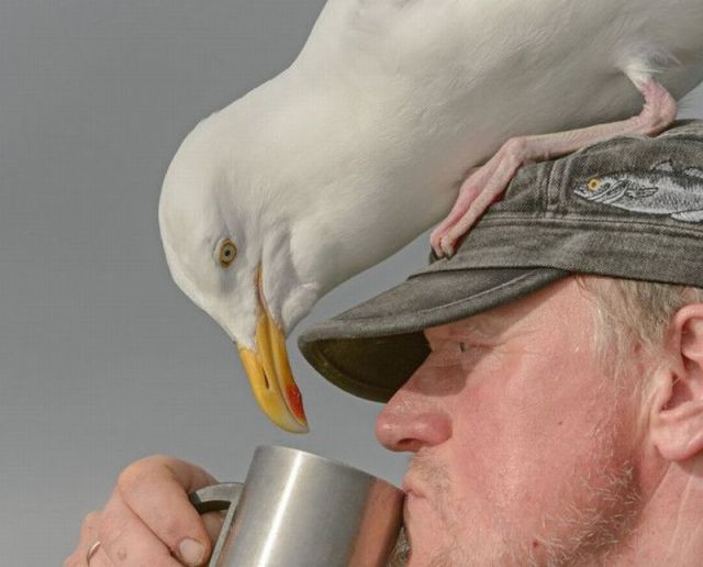 morning picdump 53 pics 4.html - 53 HD Photos | Premium Gallery 2014