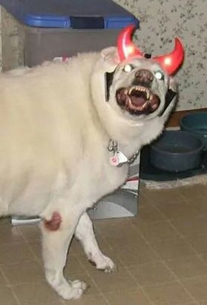 morning picdump 53 pics 4.html - 53 HD Photos | Premium Gallery 2014