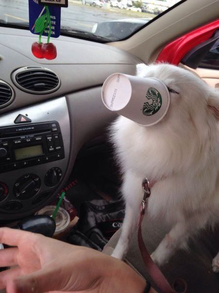 morning picdump 53 pics 4.html - 53 HD Photos | Premium Gallery 2014