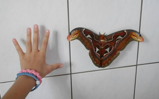 morning picdump 53 pics 4.html - 53 HD Photos | Premium Gallery 2014