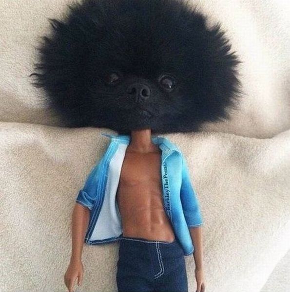 morning picdump 53 pics 4.html - 53 HD Photos | Premium Gallery 2014