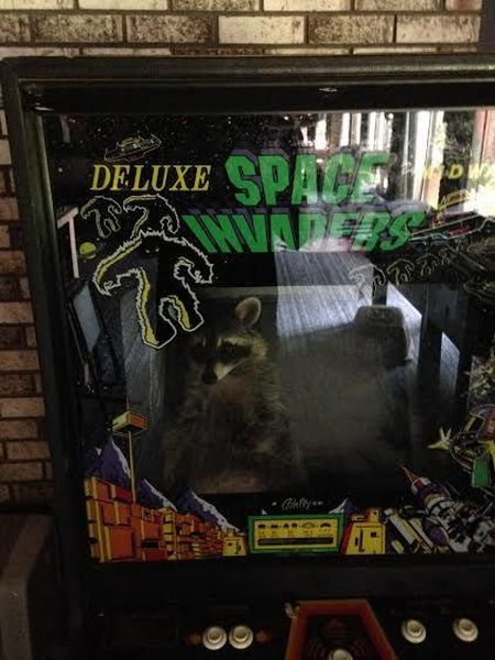 morning picdump 54 pics 2.html - 54 HD Photos | Premium Gallery 2014