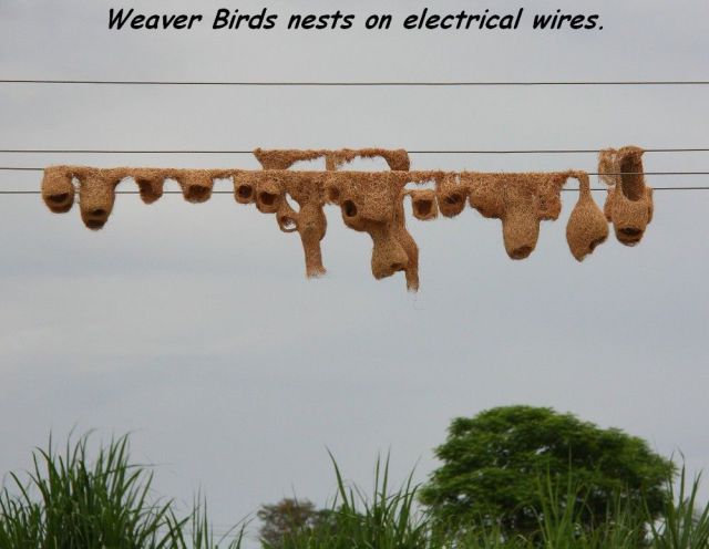 morning picdump 54 pics 2.html - 54 HD Photos | Premium Gallery 2014