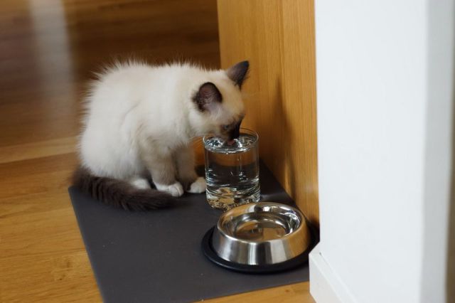 morning picdump 54 pics 2.html - 54 HD Photos | Premium Gallery 2014