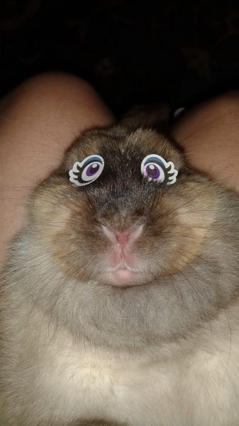 morning picdump 54 pics 2.html - 54 HD Photos | Premium Gallery 2014