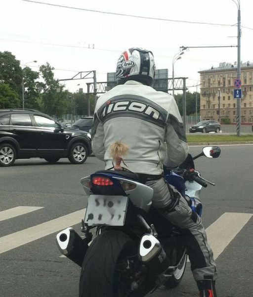 morning picdump 53 pics 14.html - 53 HD Photos | Premium Gallery 2014