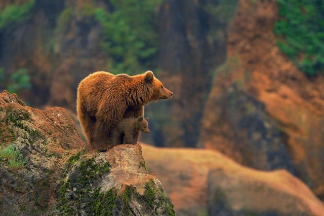 morning picdump 53 pics 14.html - 53 HD Photos | Premium Gallery 2014