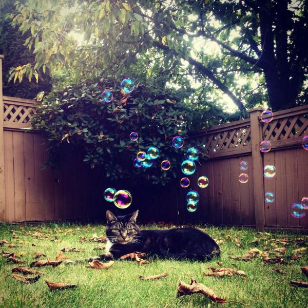 morning picdump 53 pics 14.html - 53 HD Photos | Premium Gallery 2014