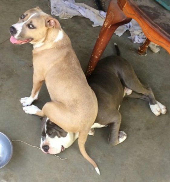 morning picdump 53 pics 4.html - 53 HD Photos | Premium Gallery 2014