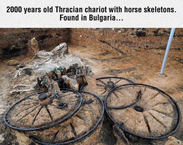 morning picdump 53 pics 4.html - 53 HD Photos | Premium Gallery 2014