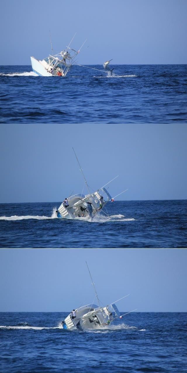 morning picdump 53 pics 4.html - 53 HD Photos | Premium Gallery 2014