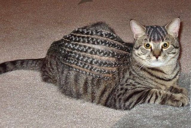 morning picdump 57 pics 28.html - 57 HD Photos | Premium Gallery 2014