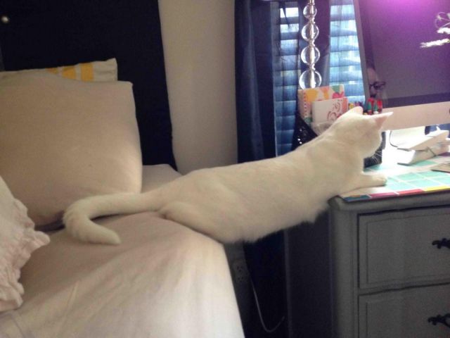 morning picdump 57 pics 28.html - 57 HD Photos | Premium Gallery 2014