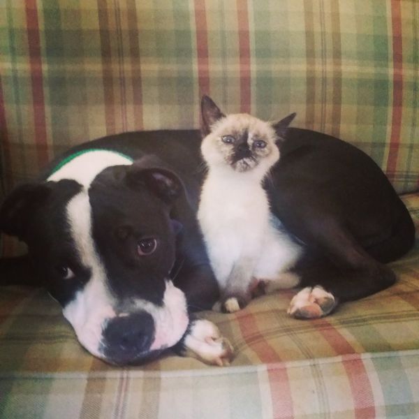 daily picdump 93 pics 19.html - 93 HD Photos | Premium Gallery 2014