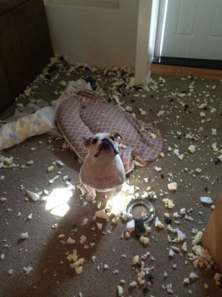 daily picdump 93 pics 19.html - 93 HD Photos | Premium Gallery 2014