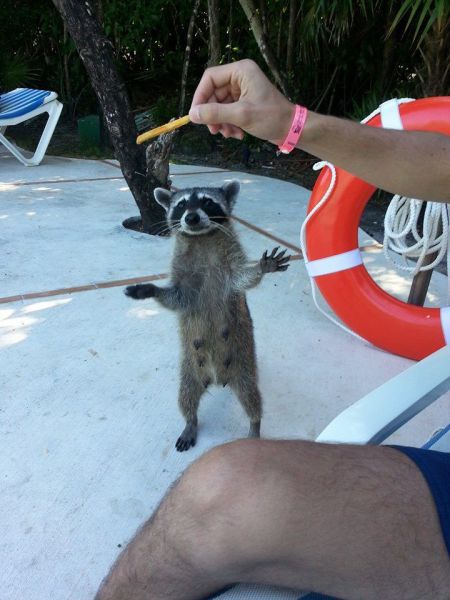 daily picdump 93 pics 19.html - 93 HD Photos | Premium Gallery 2014