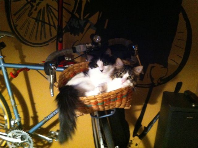 morning picdump 55 pics 12.html - 55 HD Photos | Premium Gallery 2014