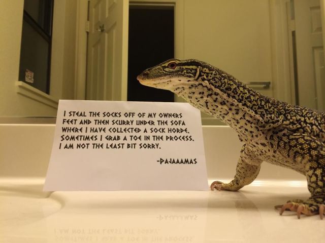 morning picdump 55 pics 12.html - 55 HD Photos | Premium Gallery 2014