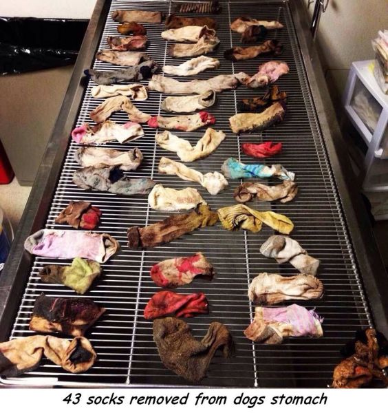 morning picdump 55 pics 12.html - 55 HD Photos | Premium Gallery 2014