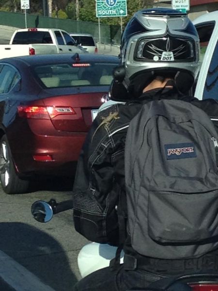 Morning Picdump