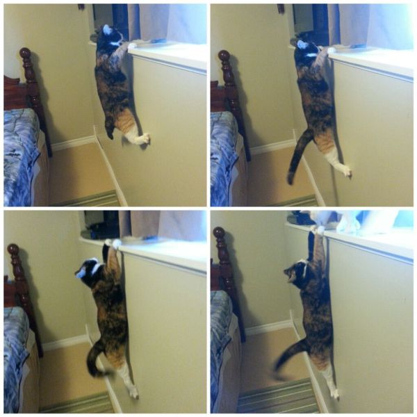 morning picdump 66 pics 17.html - 66 HD Photos | Premium Gallery 2014