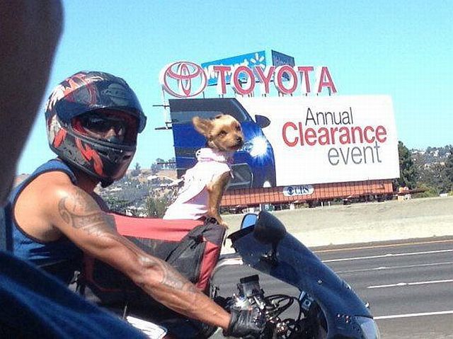 morning picdump 66 pics 17.html - 66 HD Photos | Premium Gallery 2014