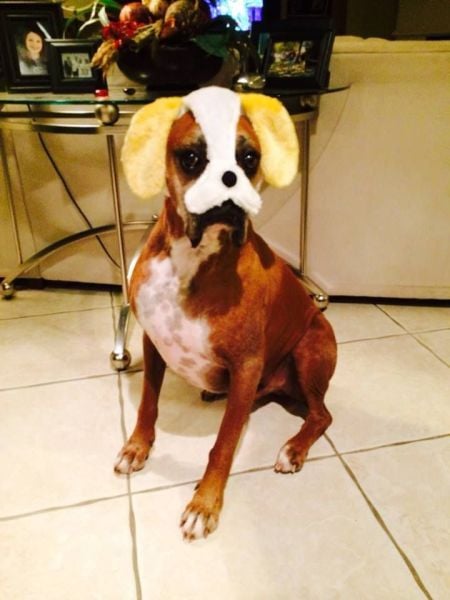 morning picdump 66 pics 17.html - 66 HD Photos | Premium Gallery 2014