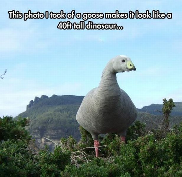 Angles Change the Way These Pictures Look