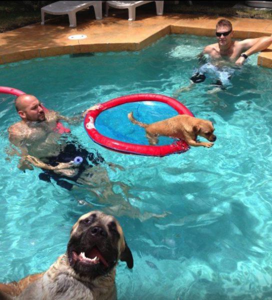 morning picdump 58 pics 6.html - 58 HD Photos | Premium Gallery 2014