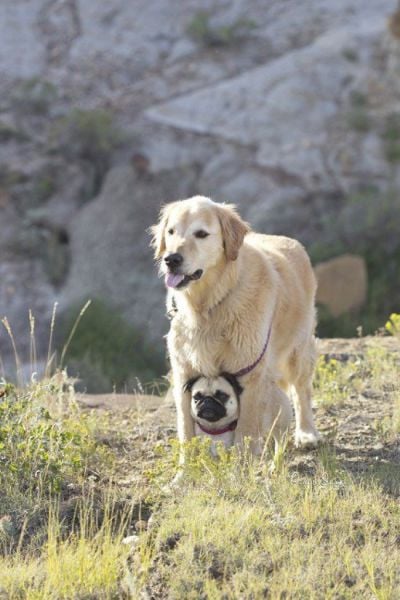 morning picdump 58 pics 6.html - 58 HD Photos | Premium Gallery 2014