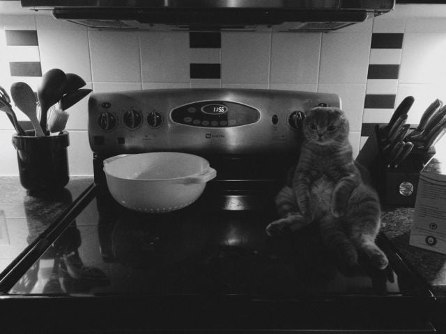 morning picdump 58 pics 6.html - 58 HD Photos | Premium Gallery 2014