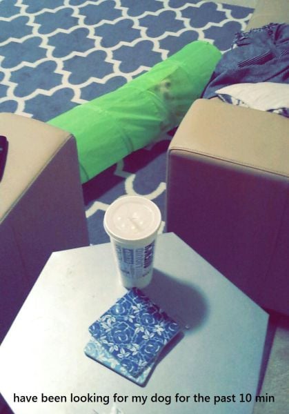 morning picdump 58 pics 6.html - 58 HD Photos | Premium Gallery 2014