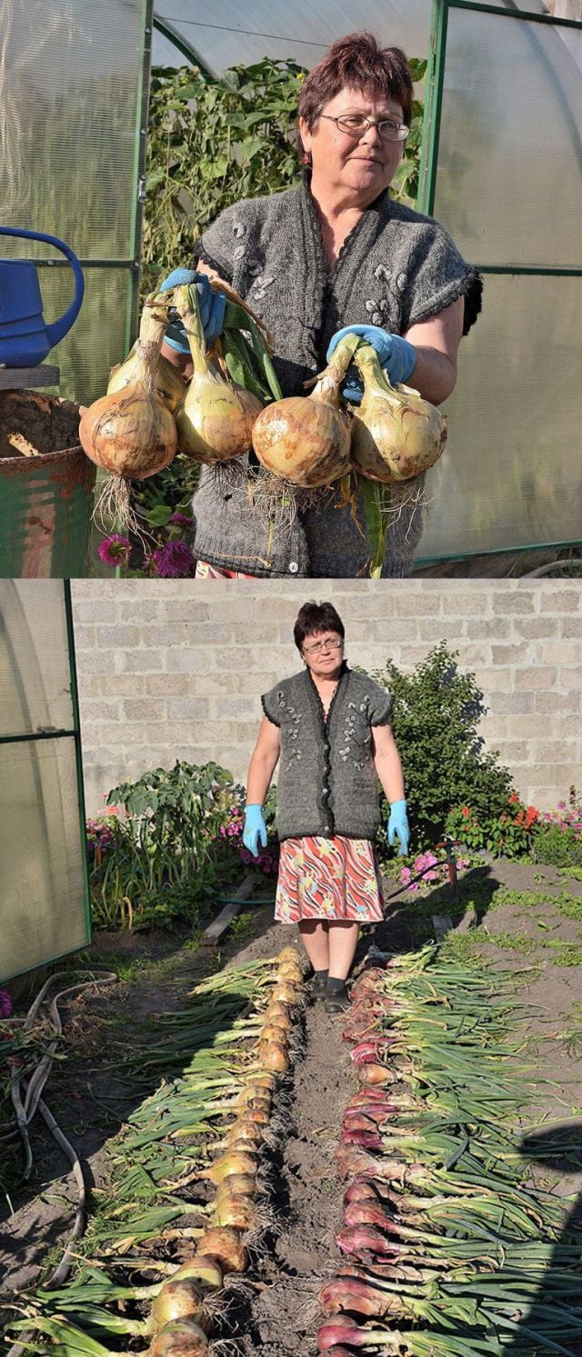 morning picdump 58 pics 6.html - 58 HD Photos | Premium Gallery 2014